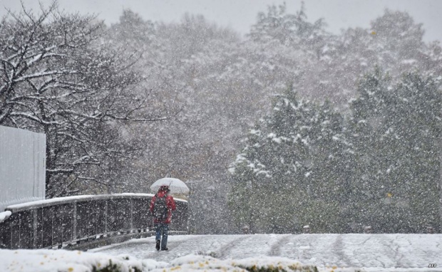 ชวนสัมผัสความหนาว ของหิมะในโตเกียวเดือน พ.ย.ครั้งแรกในรอบ 54 ปี