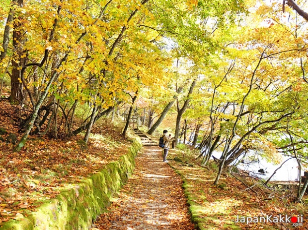 ใบไม้เปลี่ยนสีปี 2018 ที่ญี่ปุ่นและจุดชมใบไม้เปลี่ยนสีสวยๆ ทั่วประเทศ