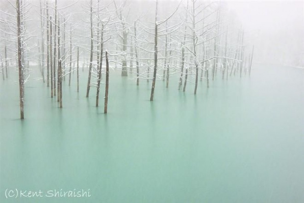ภาพสวย! พาชมบ่อน้ำสีฟ้าสดที่ฮอกไกโด สวยเหลือเชื่อ