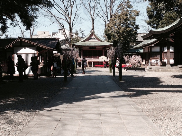เปิดเสน่ห์เซียมซีญี่ปุ่นสุดน่ารัก จาก 3 ศาลเจ้าญี่ปุ่น