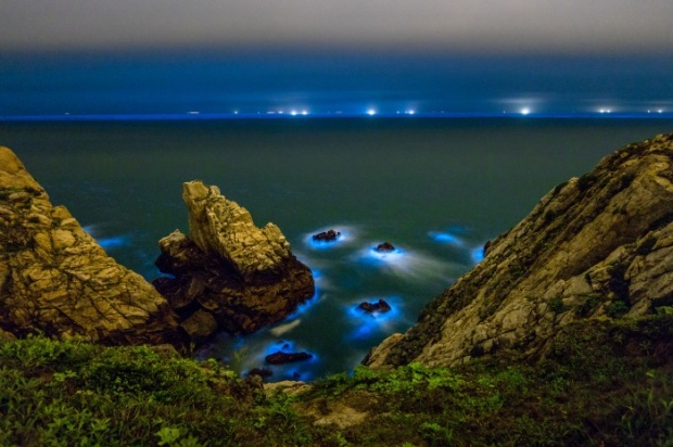 ตามรอย Life of Pi ทะเลเรืองแสงสีฟ้าบนหมู่เกาะหมาจู่