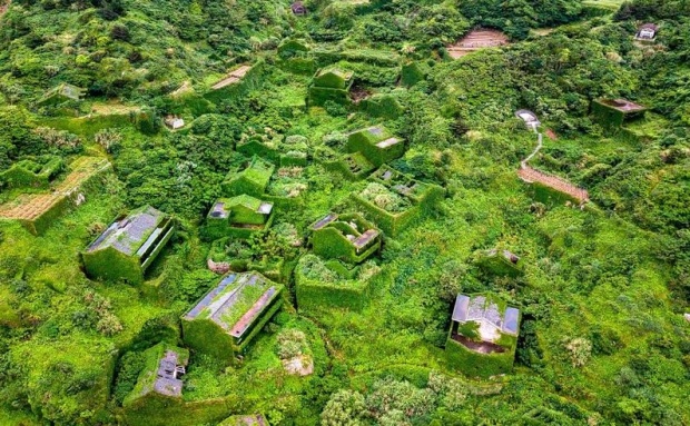 จุดเดินป่ายอดนิยม! ‘Houtouwan’ เมืองร้างที่ถูกกลืนกินโดยพืชพันธุ์