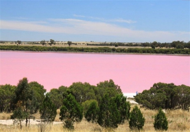 10 ทะเลสาบสีชมพูอันงดงาม จากประเทศต่างๆ รอบโลก ที่น่าเดินทางไปเก็บให้ครบ!! 