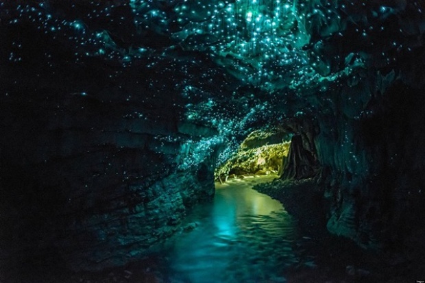 ยังกับเทพนิยาย..ถ้ำไวโตโมโกลว์วอร์ม (Waitomo Glowworm Caves) 