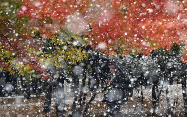 ชวนสัมผัสความหนาว ของหิมะในโตเกียวเดือน พ.ย.ครั้งแรกในรอบ 54 ปี